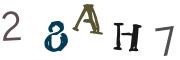 Obrázkové CAPTCHA