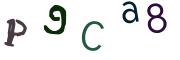 Obrázkové CAPTCHA