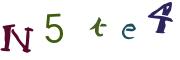 Obrázkové CAPTCHA