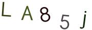 Obrázkové CAPTCHA