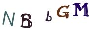 Obrázkové CAPTCHA