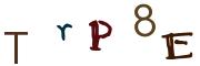 Obrázkové CAPTCHA