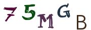 Obrázkové CAPTCHA