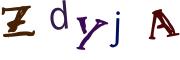 Obrázkové CAPTCHA