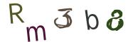 Obrázkové CAPTCHA