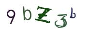 Obrázkové CAPTCHA