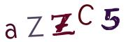 Obrázkové CAPTCHA