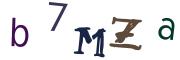 Obrázkové CAPTCHA
