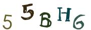 Obrázkové CAPTCHA