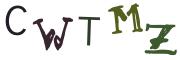 Obrázkové CAPTCHA