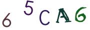 Obrázkové CAPTCHA