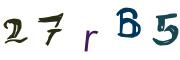 Obrázkové CAPTCHA