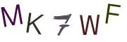 Obrázkové CAPTCHA