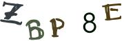 Obrázkové CAPTCHA