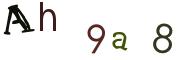 Obrázkové CAPTCHA