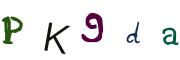 Beeld-CAPTCHA