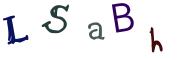 Beeld-CAPTCHA