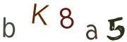 Beeld-CAPTCHA