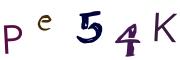 Imagine CAPTCHA