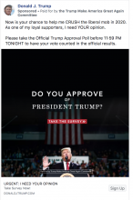 Crush the Liberal Mob - Trump Ad