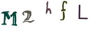 Obrázkové CAPTCHA