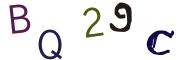 Obrázkové CAPTCHA