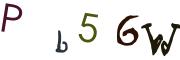 Obrázkové CAPTCHA