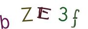 Obrázkové CAPTCHA