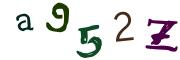 Obrázkové CAPTCHA