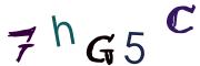 Obrázkové CAPTCHA