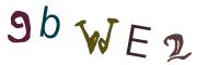 Obrázkové CAPTCHA