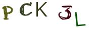 Obrázkové CAPTCHA