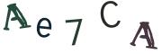 Image CAPTCHA