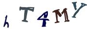 Beeld-CAPTCHA