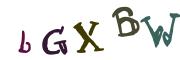 Beeld-CAPTCHA