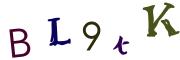 Beeld-CAPTCHA