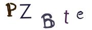 Beeld-CAPTCHA