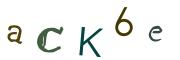 Beeld-CAPTCHA