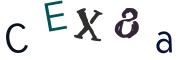 Beeld-CAPTCHA