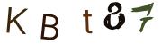 Beeld-CAPTCHA