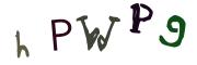 Beeld-CAPTCHA
