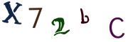 Beeld-CAPTCHA