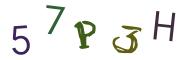 Beeld-CAPTCHA
