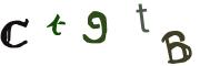 Beeld-CAPTCHA