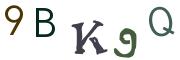 Beeld-CAPTCHA