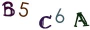 Beeld-CAPTCHA