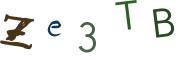 Beeld-CAPTCHA