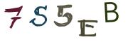 Beeld-CAPTCHA