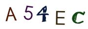 Beeld-CAPTCHA