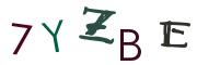 Beeld-CAPTCHA